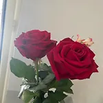 Cuore Di 5