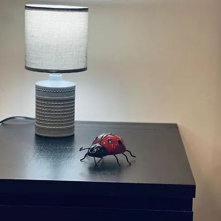 Apartmán Cuore Di 5
